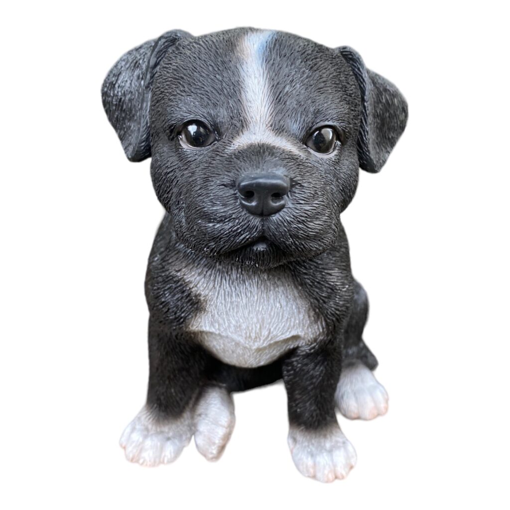 American Staffordshire terrier, chien sur blanc Statue de base
