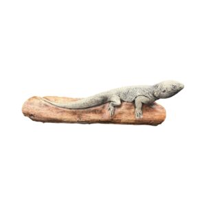 Handcrafted Bearded Dragon Lizard On A Log Sculpture Garden Statue